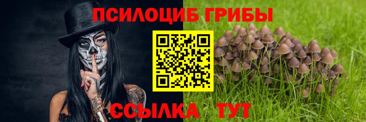Псилоцибиновые грибы ЛСД Вятские Поляны